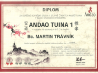 Tuina masáže Praha 10